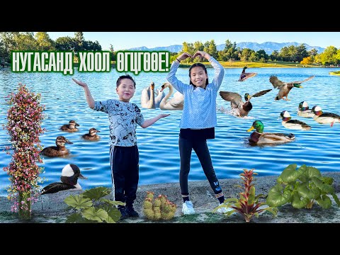 Видео: НУГАС ХООЛЛОЖ, НУУРЫН ЭРГЭЭР ЗУГААЛЛАА! 🦆🌊👧👦✨