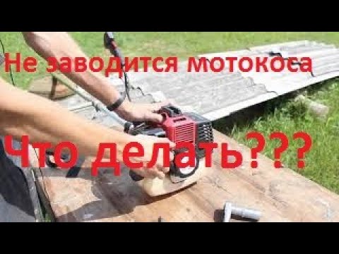 Видео: Не заводится китайская мотокоса. Диагностика и ремонт.