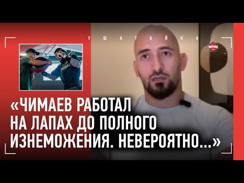 Видео: БОРЬБА ЧИМАЕВА: почему соперники бессильны? / Чудеса Джонса, Дэнэхер, Сен-Пьер / ОЗЗИ ДУГУЛУБГОВ