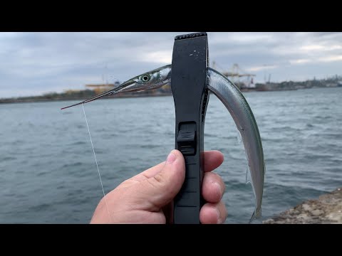 Видео: Поклевка САРАГАНА на пилькер / Трудовая морская РЫБАЛКА при шквалистом ветре