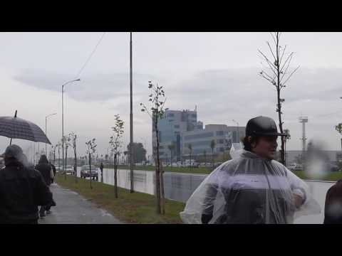 Видео: Airbus A380 над София