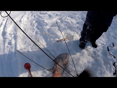 Видео: Такой рыбалки на хапуги у меня еще не было!!! Рыбалка, от которой задрожали колени!!!