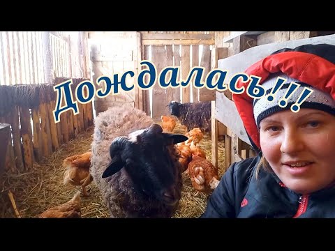 Видео: Рождение новой жизни....как это волнительно🥲🥲