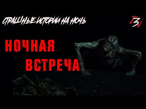 Видео: Ночная встреча. Страшные истории на ночь. Страшилки на ночь.