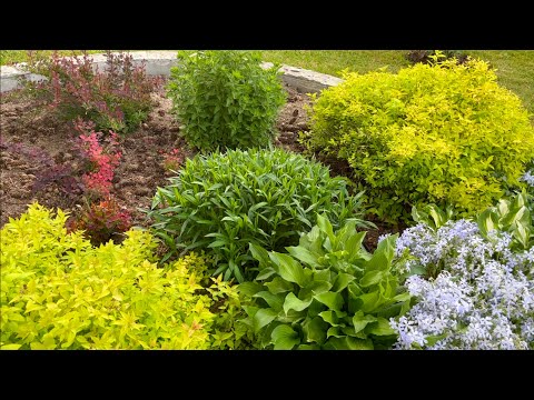 Видео: РАБОТА НАД ОШИБКАМИ и С ЧЕМ РЕШИЛИ РАСПРОЩАТЬСЯ.