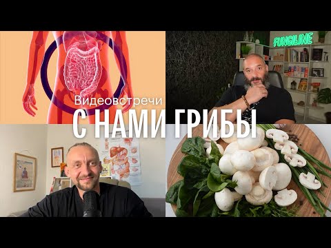 Видео: С нами грибы. Грибы и микробиом. Дмитрий Алексеев