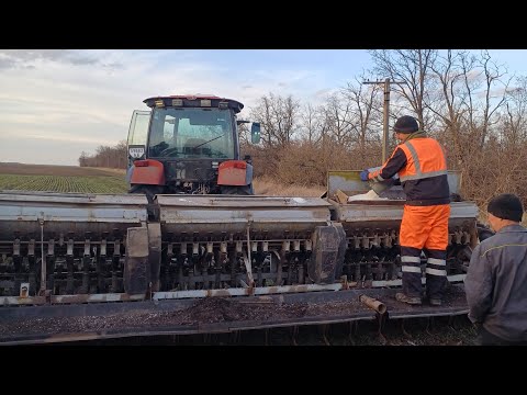 Видео: Підживлення пшениці ! Сходи коріандру!! Горох Балтрап!!!