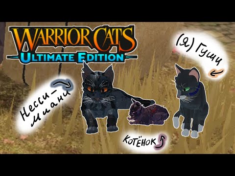 Видео: ПОХОД К ЛУННОМУ КАМНЮ🙀!!!(]Видео с подписчиками😸👍🏻![)