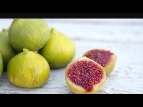 Видео: АНЖИР ШОХИДАН КУЧАТ  ТАЁРЛАШ.КУЗ ФАСЛИДА