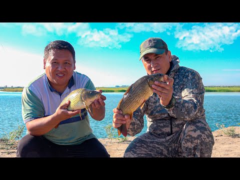 Видео: Рыбалка в Баканасе на реке ИЛИ, САЗАНЫ гнут удилище, июль 2023