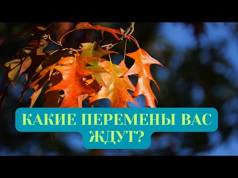 Видео: КАКИЕ ПЕРЕМЕНЫ ВАС ЖДУТ?