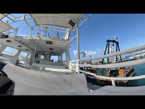 Видео: яффа порт 24 10 25