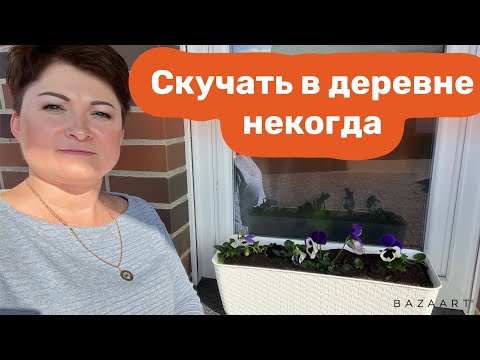 Видео: Высадила цветы/кормлю щенков/мой обед/причесываю шпица