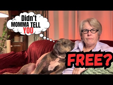 Видео: Даже СОБАКА знает ПРАВДУ о БЕСПЛАТНОСТИ! ПРОСЫПАЙТЕСЬ! 🙀