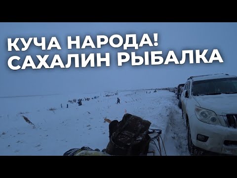 Видео: Куча людей и куча наваги! Пожарил навагу 🐟