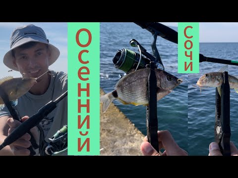 Видео: Прекрасный октябрь в Сочи. Рыбалка днем на черноморскую креветку. #fishing #рыбалка #sochi #сочи