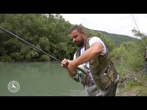 Видео: 🎣Среќавање со бојник – приказна од реката Радика 🐟 Encounter with the Nase–A Tale from Radika River