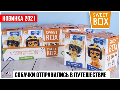 Видео: Щенята История в Sweet Box | Пушистики История собачки в Свит Бокс