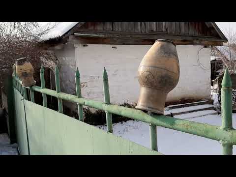 Видео: Юрки