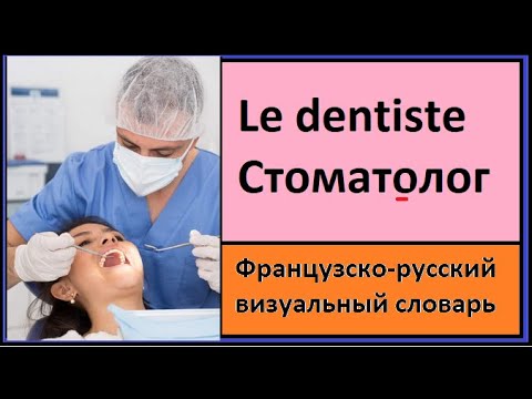Видео: Le dentiste - Стоматолог - Французско-русский визуальный словарь