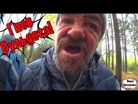 Видео: ГНЕВ БУЛЬДОГА / 308 серия (18+)