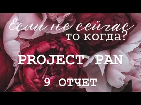 Видео: PROJECT PAN 2025 ОТЧЕТ 9