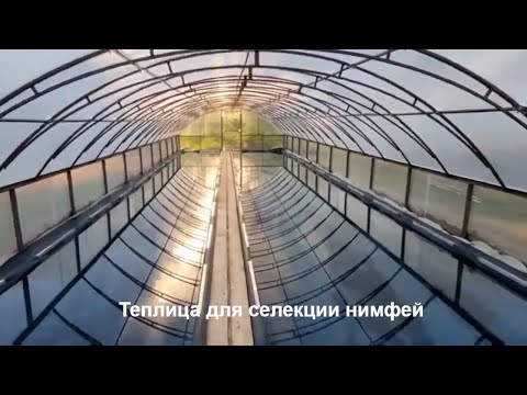 Видео: Новая теплица для нимфей с применением гидроизоляции EPDM мембраны Polygomma Pond Liners.