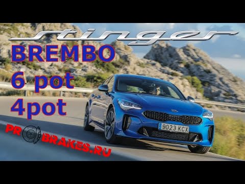 Видео: BREMBO для STINGER 6 плюс 4 поршня