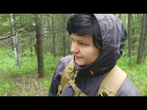 Видео: Дорога на Юрму 2024 ойфф роад Suzuki Jimny и Нива