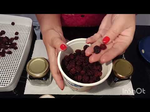 Видео: Вяленые сливы, вяленый крыжовник. Эксперементирую.