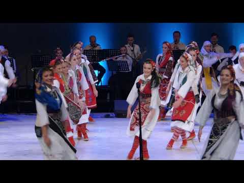 Видео: ДИМКО ДЕЛИЈА И СПЛЕТ ПЕСАМА И ИГАРА ИЗ КУМАНОВСКОГ ПОЉА