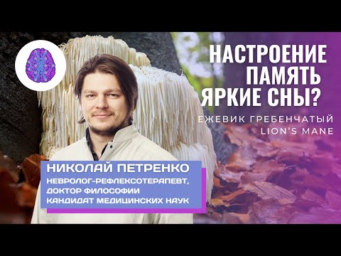 Видео: Ежевик гребенчатый(Lions mane) хорошее настроение,улучшенная память, красочные сны. Правда и домыслы