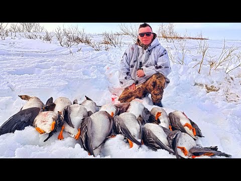 Видео: ВЕСЕННЯЯ ОХОТА НА ГУСЯ 2025!! СРЕДИ СНЕГА И ЛЬДА!!! СЕВЕРЯНИН НА ОХОТЕ!