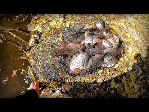 Видео: Скандал за Рибні місця! Осінній розрив по Фідеру на Дніпрі !!!