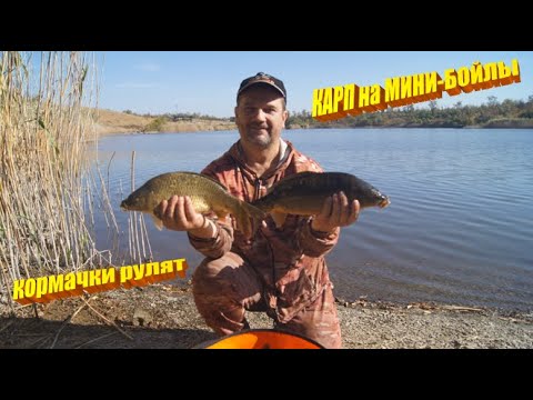 Видео: РЫБАЛКА на КАРПА в октябре. МИНИ-БОЙЛЫ и КОРМАКИ всегда удачная рыбалка!