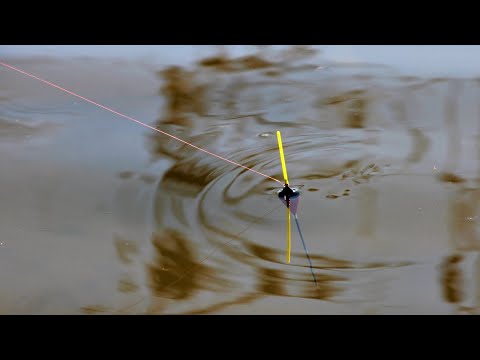 Видео: РИБОЛОВ на РЕКА с ПЛУВКА - СТРАХОТНА ИЗНЕНАДА на НОВО МЯСТО