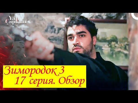 Видео: Зимородок 3. Обзор 17 серии.