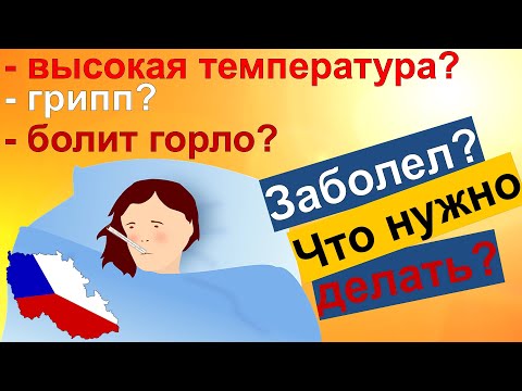 Видео: Заболел? Что нужно делать? Чешский язык для начинающих