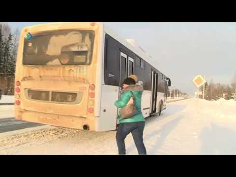 Видео: В Сыктывкаре проезд в автобусах подорожает