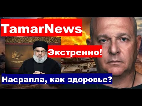 Видео: Насралла, как здоровье?