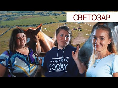Видео: HORSE Обзор №4  "Светозар - центр реабилитации лошадей" | Приют для лошадей | Лошади на пенсии