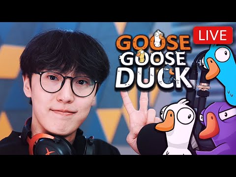 Видео: 🔴GOOSE GOOSE DUCK w/ @MioStreams @Ohiimaa @GAFOstreams @Xuvika @WolframMN 🔴IMPOSTER БОЛЧООСОЙ🔴