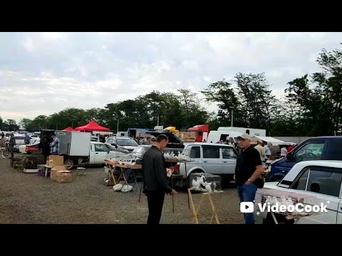 Видео: Ярмарка в Кропоткин 29.06.25. Обзор птичьего рынка.!