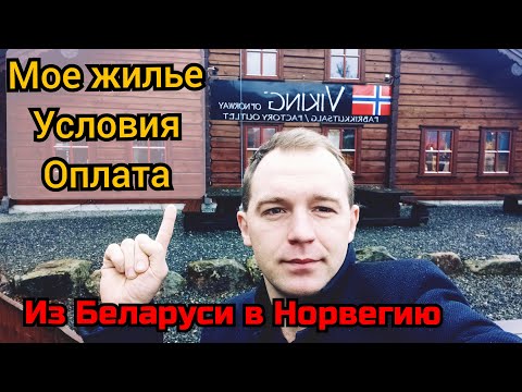 Видео: Работа в Норвегии.Мое жилье.Как живу и сколько плачу.