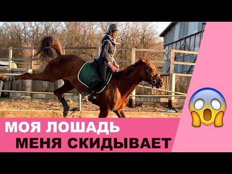 Видео: ДЕНЬ 2: ХОЧЕТ СКИНУТЬ | ПРИЧИНЫ ПЕРЕЕЗДА | НОВОЕ СЕДЛО | 🌸ВЫХОДНЫЕ С МОЕЙ ЛОШАДЬЮ🌸