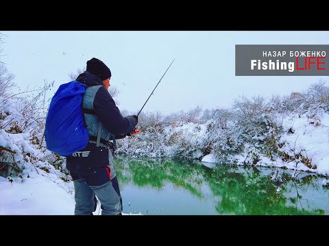 Видео: Як Ловити На Спінінг По Холодній Воді? Кращі Проводки Та Монтажі