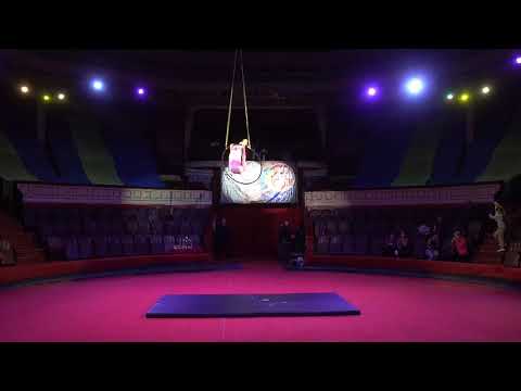 Видео: Выступление на воздушном кольце