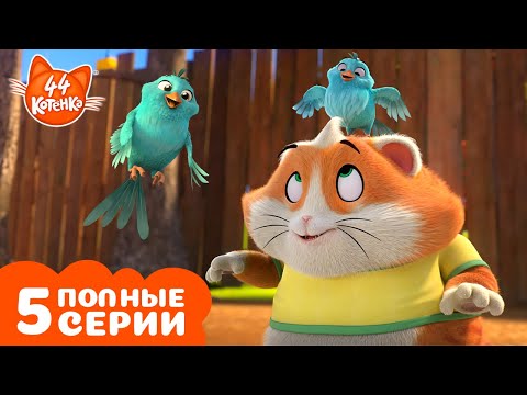 Видео: 44 Котёнка | ТОП-5 моментов с Пончиком | Полные серии | Мультфильмы для детей