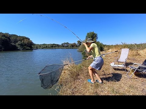 Видео: Рыбалка на карпа и на сома. Жена одна воюет с карпами