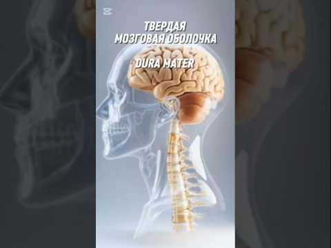 Видео: ТМО и с чего начинать лечение фибромиалгии.  #фибромиалгия #ударстресса #лечениебезлекарств